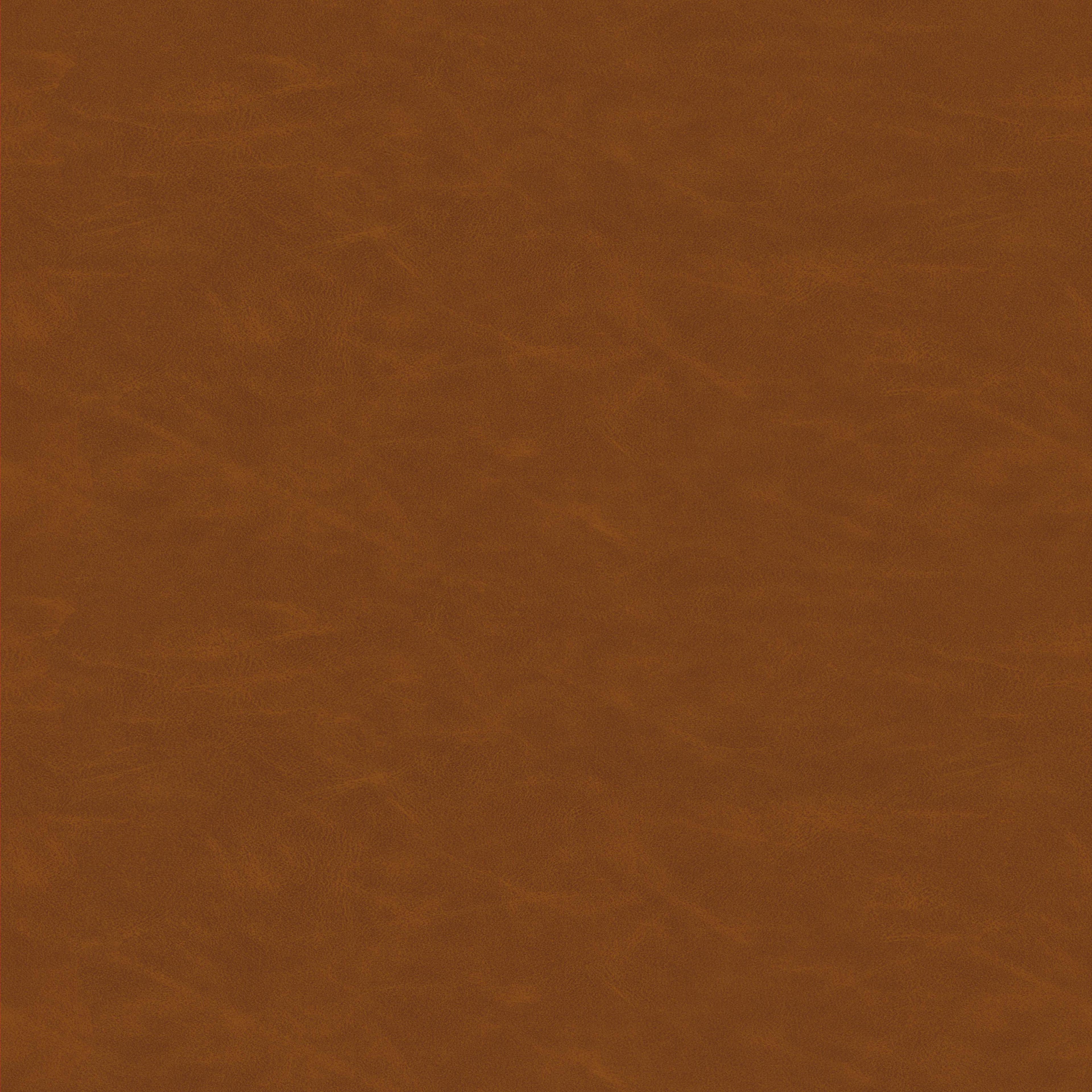 Image 31