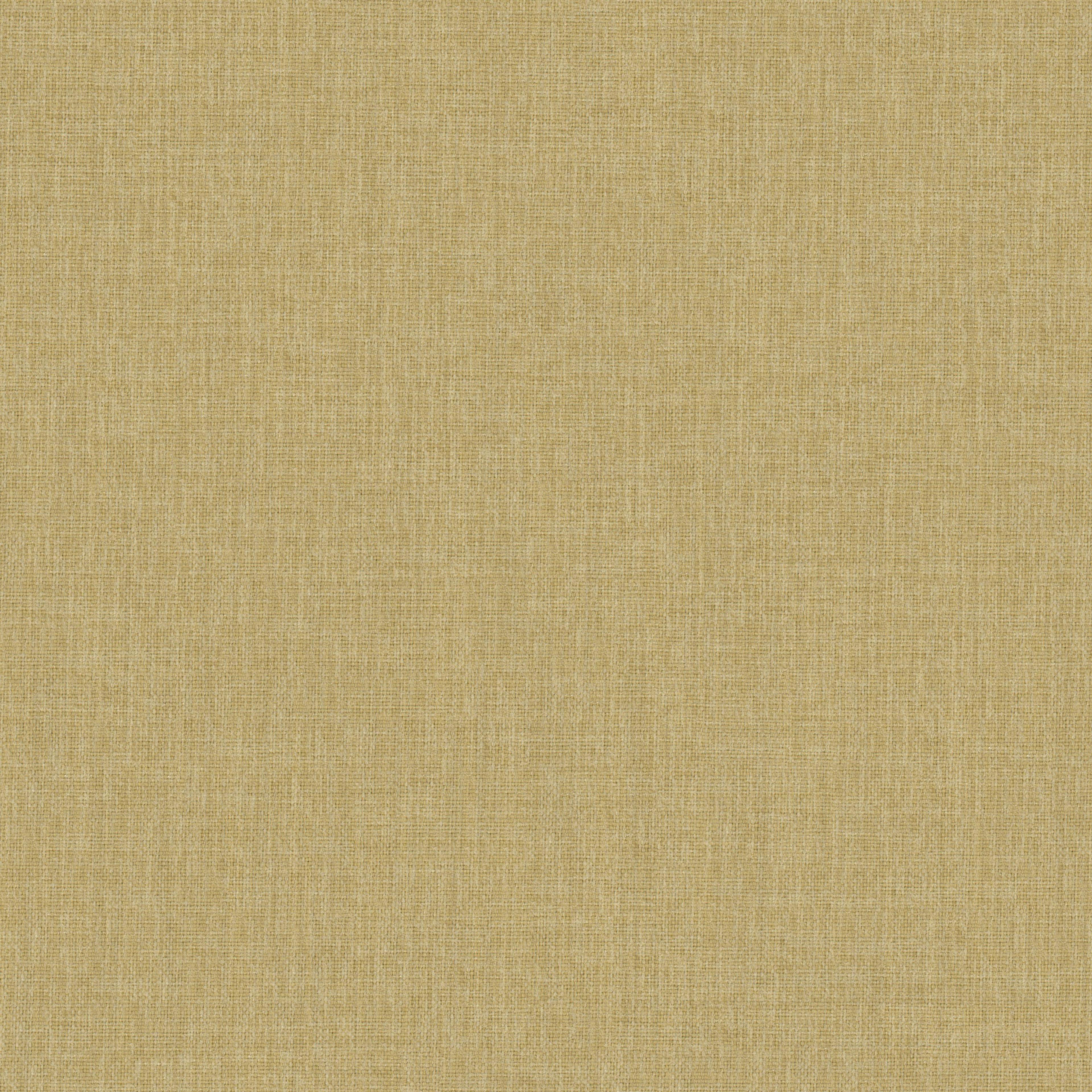 Image 23