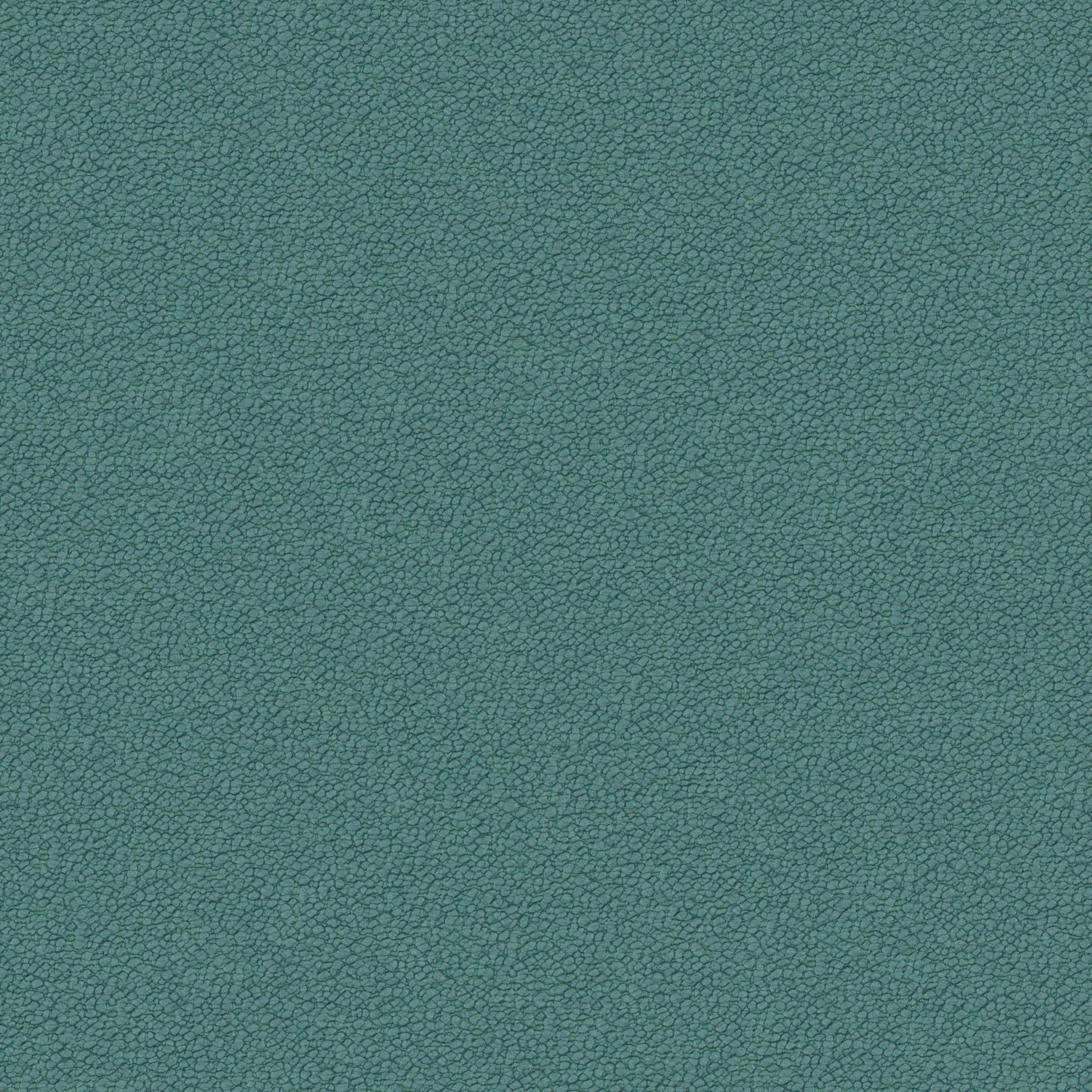 Image 27