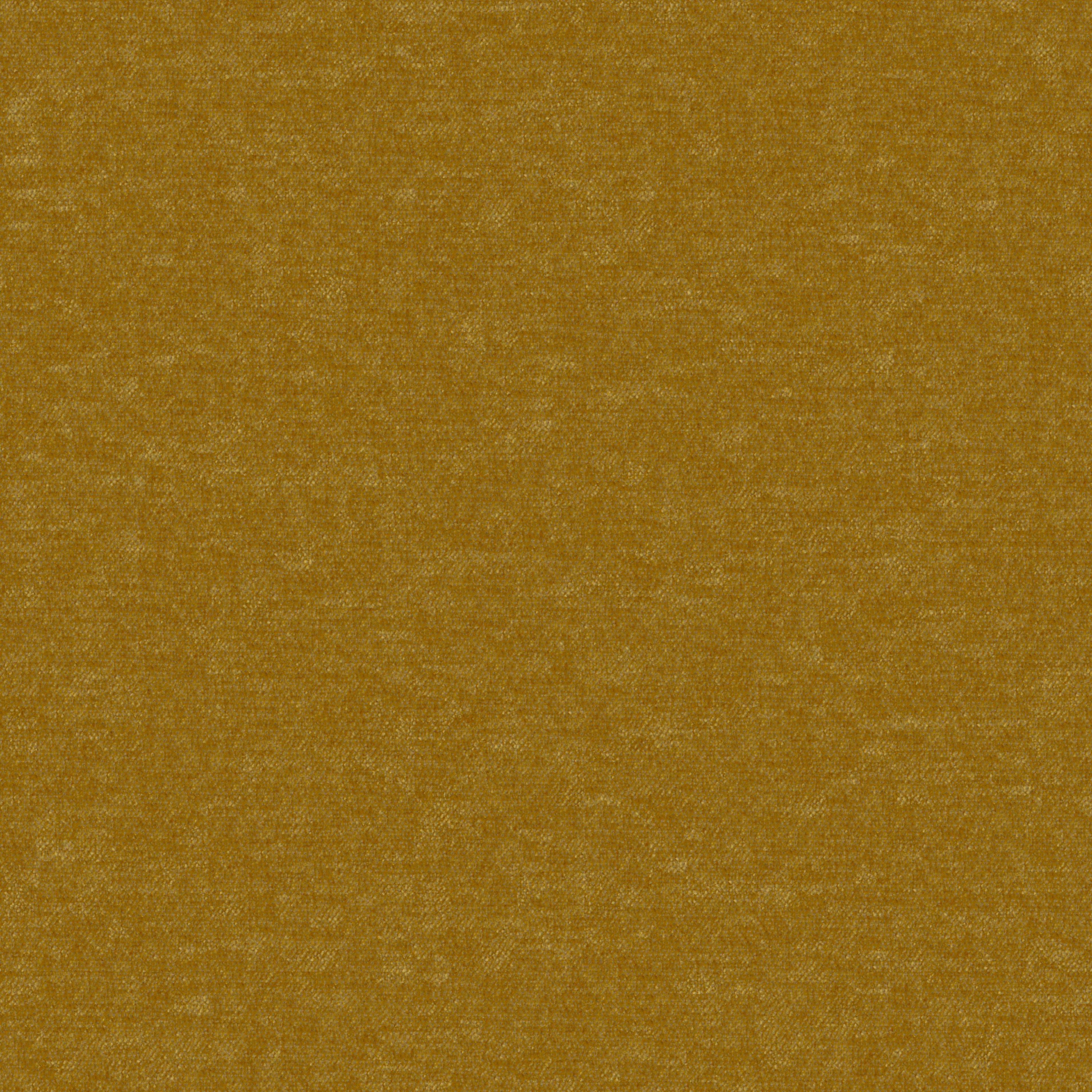 Image 43