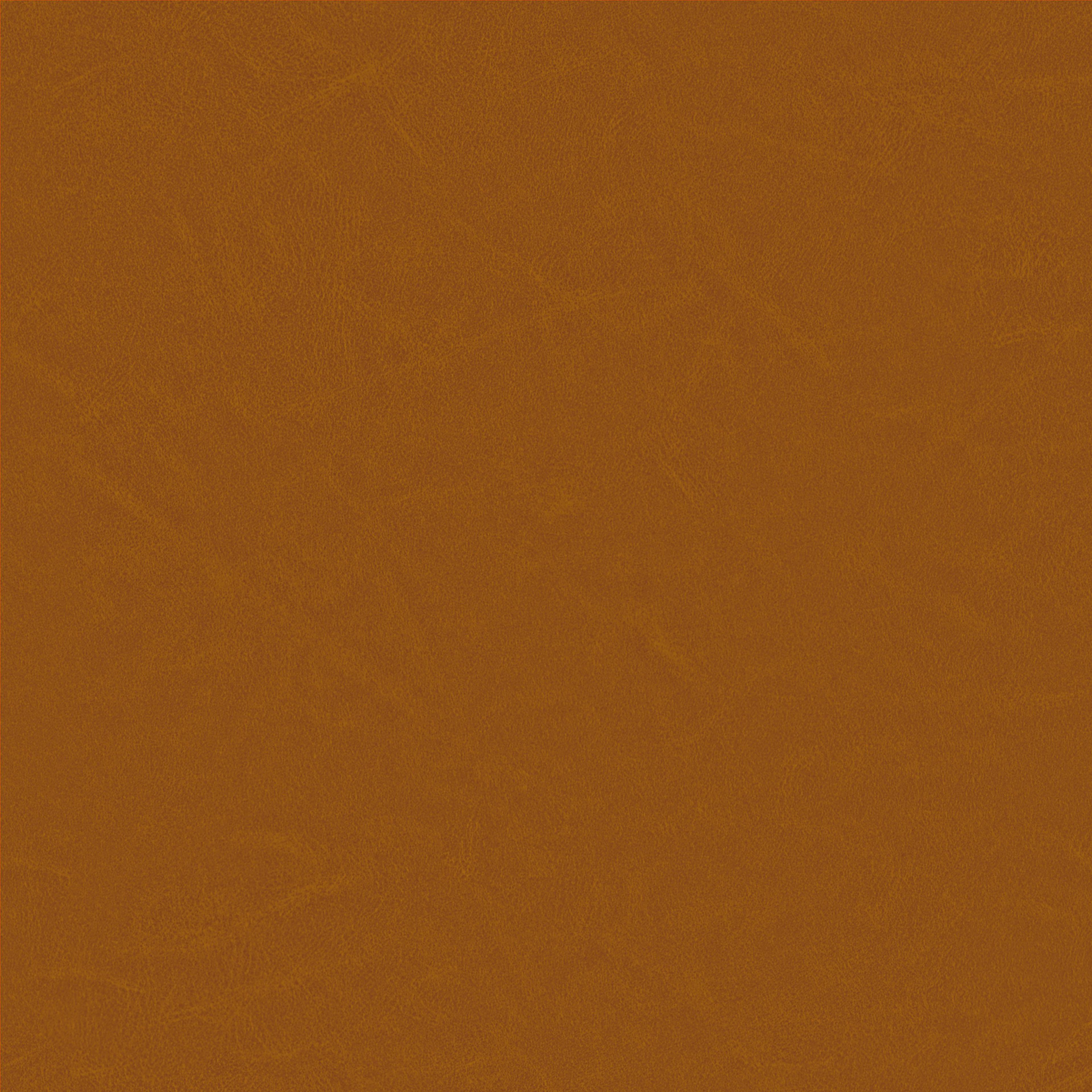 Image 42