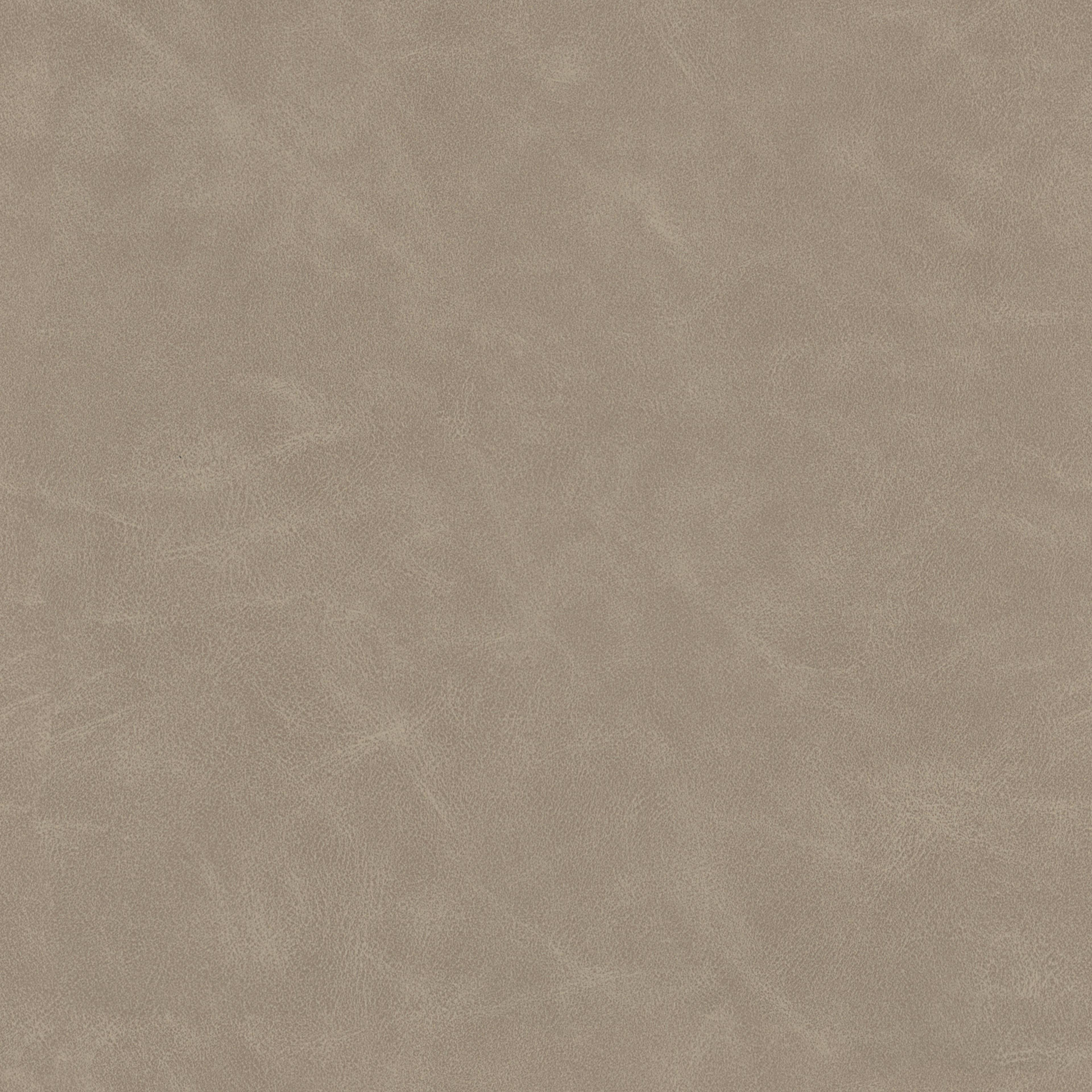 Image 35