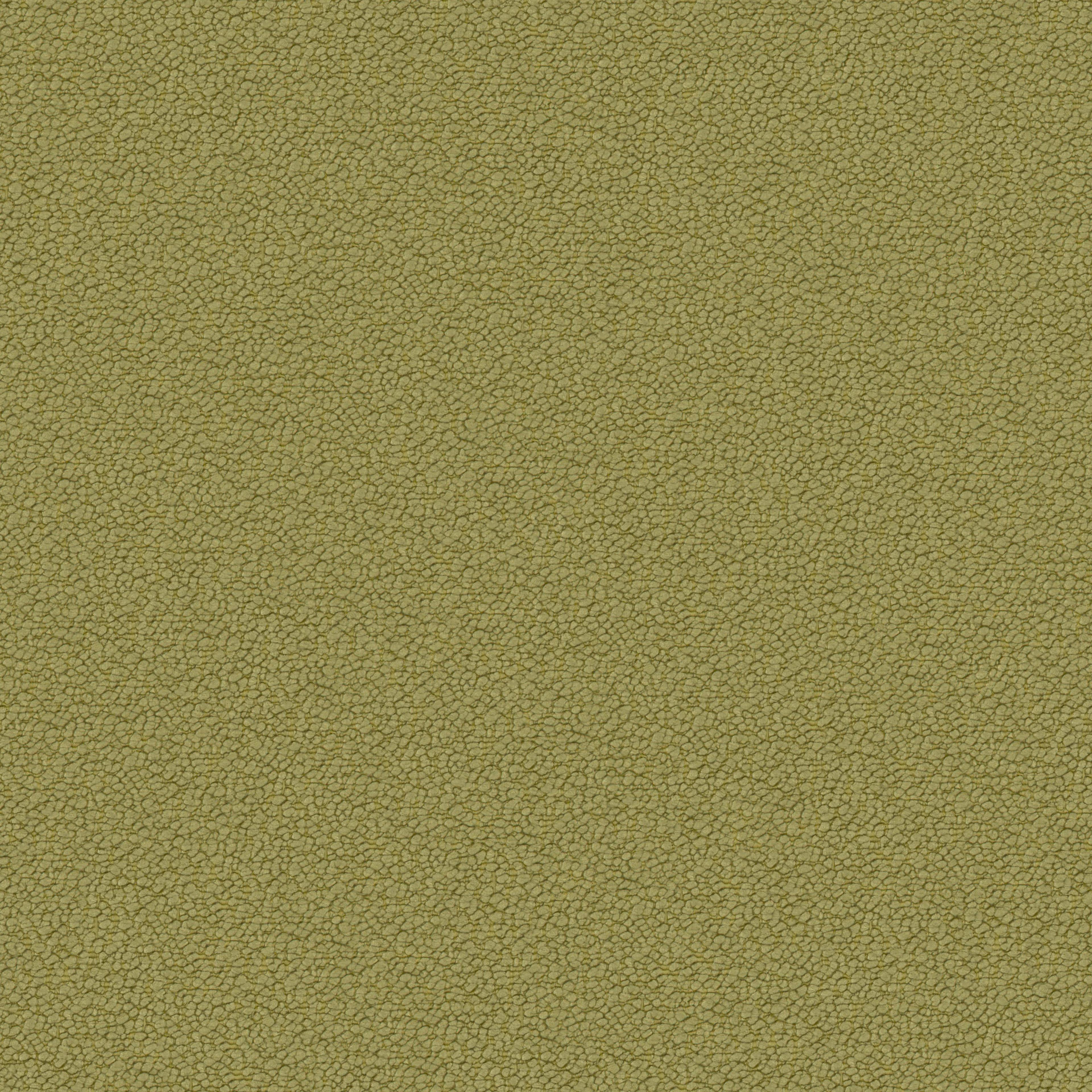 Image 26