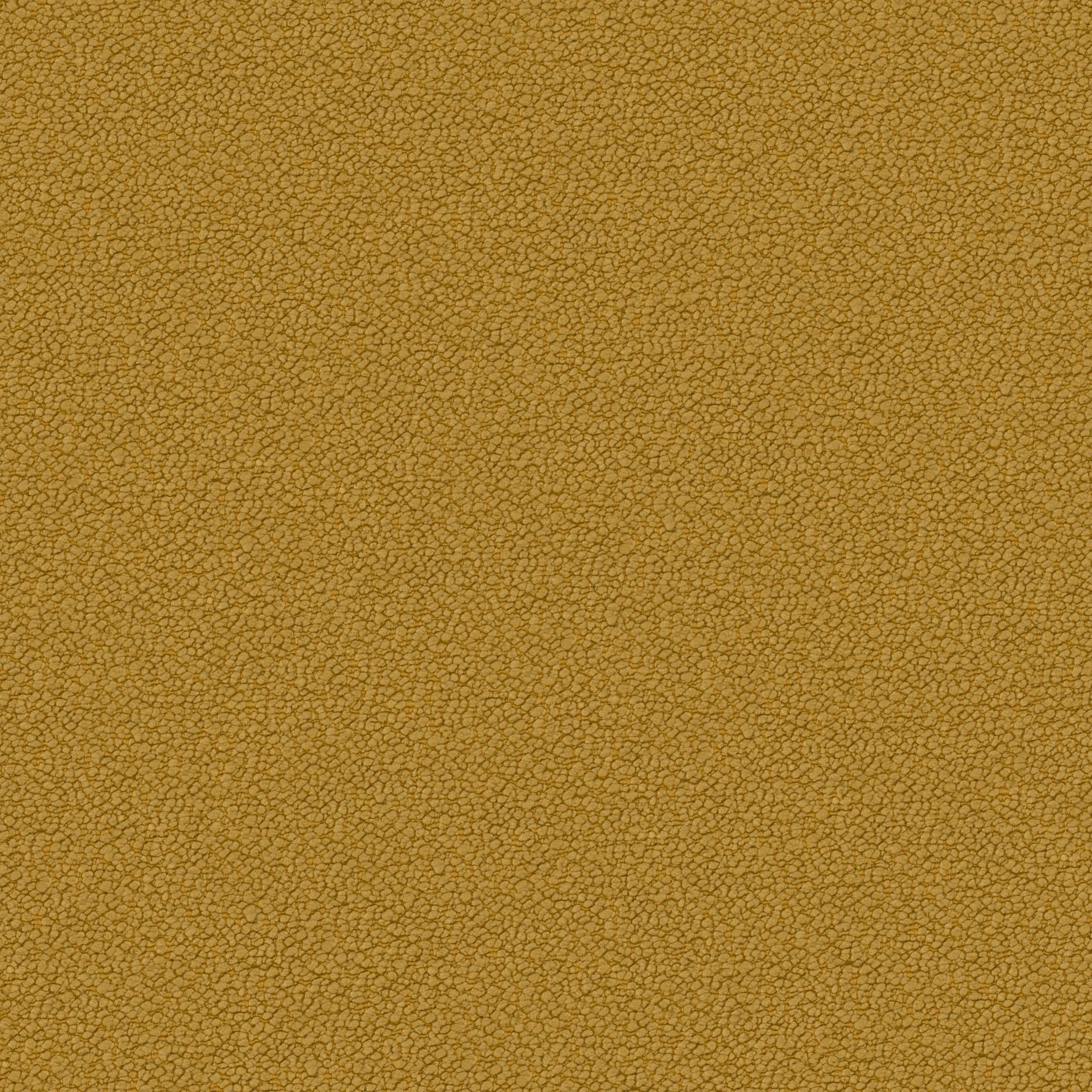 Image 25