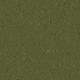 Grass